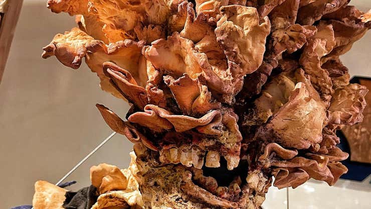 Image for This Last of Us Clicker Bread Sculpture Is Scary As Hell