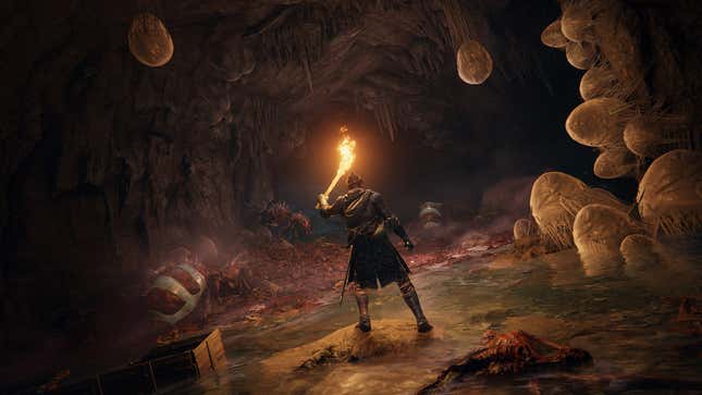 An Elden Ring character shines a torch into a dark cave.